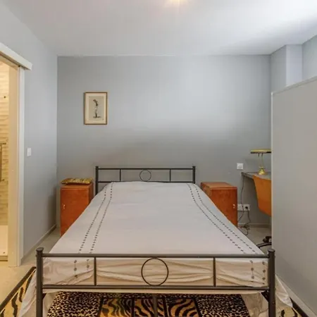 Apartment Serbes Croisette - 100m Beach, Palais, Parking/ac *