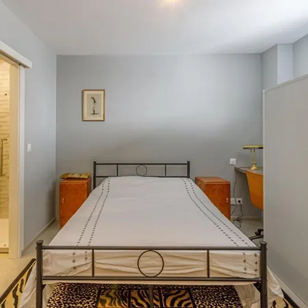 Apartment Serbes Croisette - 100m Beach, Palais, Parking/ac *